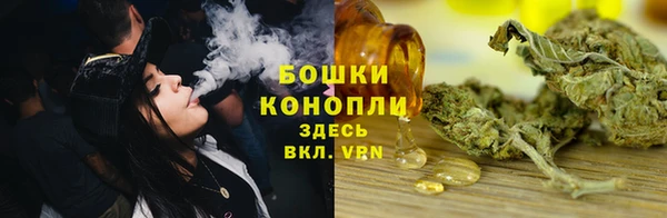 бошки Гусев
