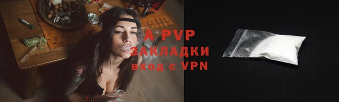 бошки Гусев