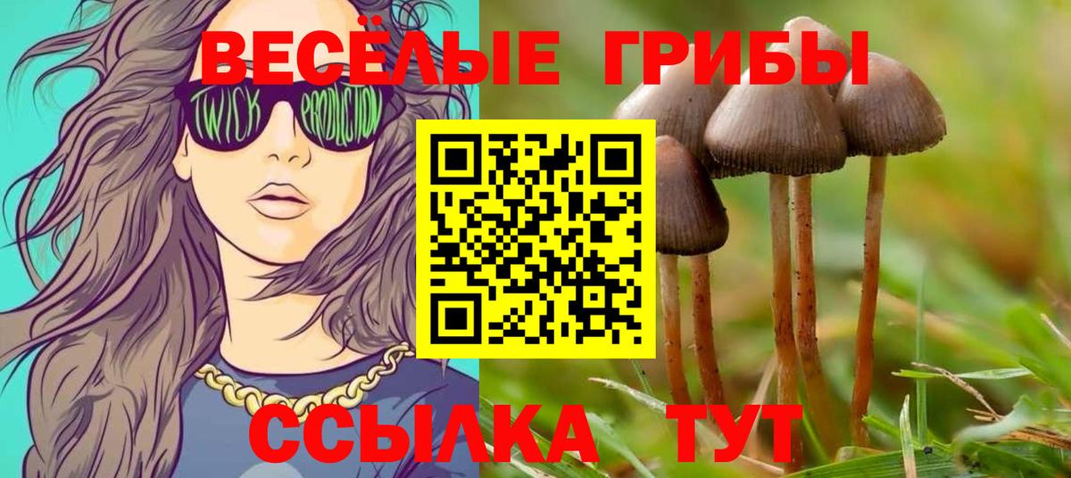 магазин    Вход с VPN  Москва  Галлюциногенные грибы Psilocybe 