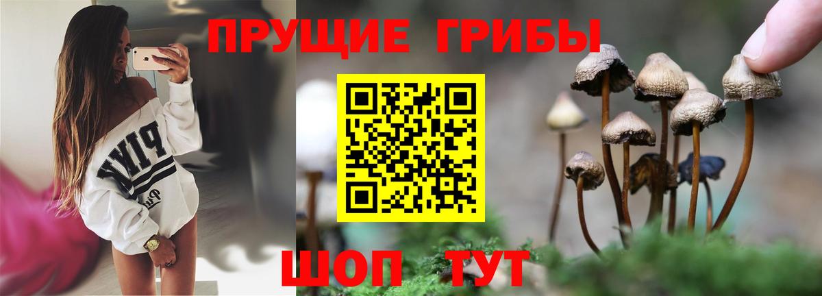Псилоцибиновые грибы Magic Shrooms Москва