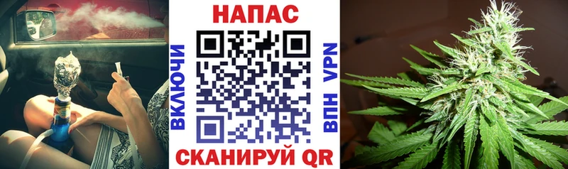 Шишки марихуана сатива  hydra ссылки  Москва 